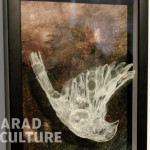 Diana Serghiuta - Arad Culture (12)