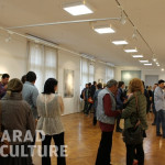 Diana Serghiuta - Arad Culture (14)