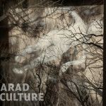 Diana Serghiuta - Arad Culture (16)