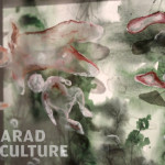 Diana Serghiuta - Arad Culture (17)