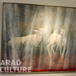 Diana Serghiuta - Arad Culture (19)
