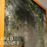 Diana Serghiuta - Arad Culture (3)