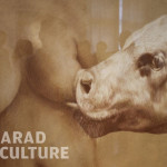 Diana Serghiuta - Arad Culture (7)