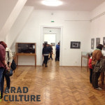 aparate vechi muzeu Arad Culture (74)