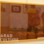 expozitie arta vizuala elevi scoala populara de arta arad culture (27)