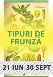 TIPURI DE FRUNZA expozitie