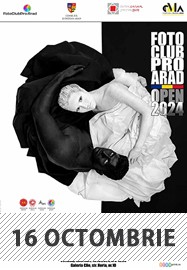 Salonul Internațional de Artă Fotografică FotoClubPro Arad 2024