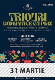 Melodii nordice și pasiune germană @ Filarmonica Arad