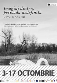 Nita Mocanu - Imagini dintr-o perioadă nedefinită @ Galeria Alfa